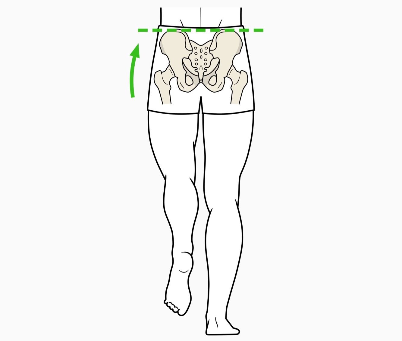 Positionnement correcte des hanches