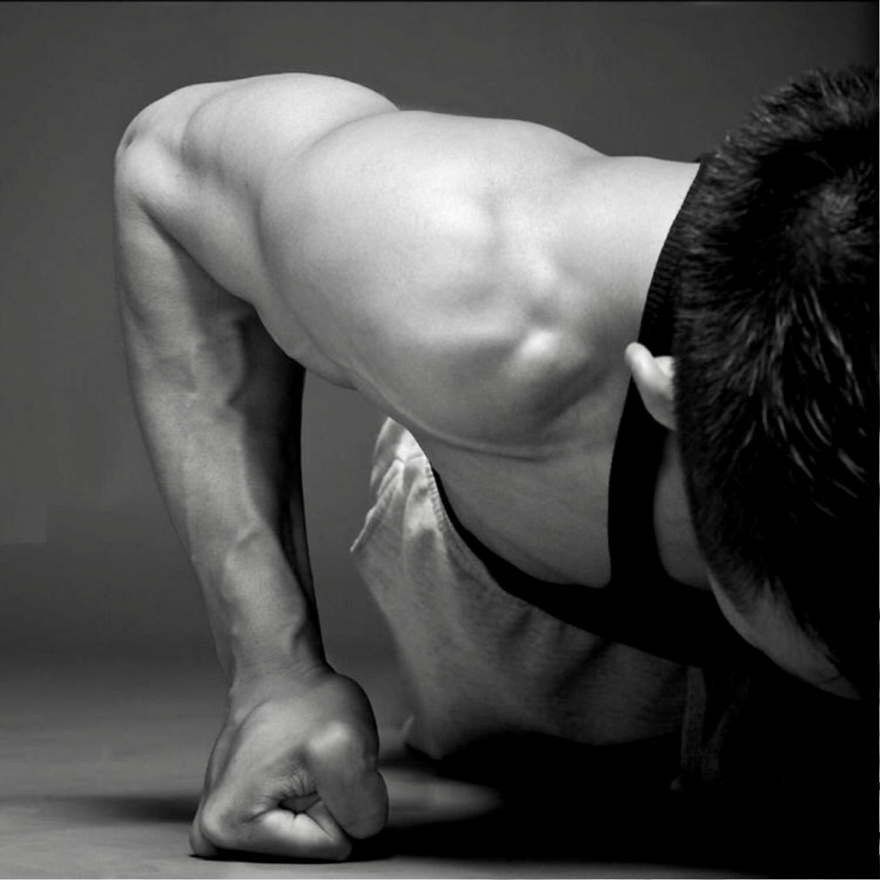 Bodyweight