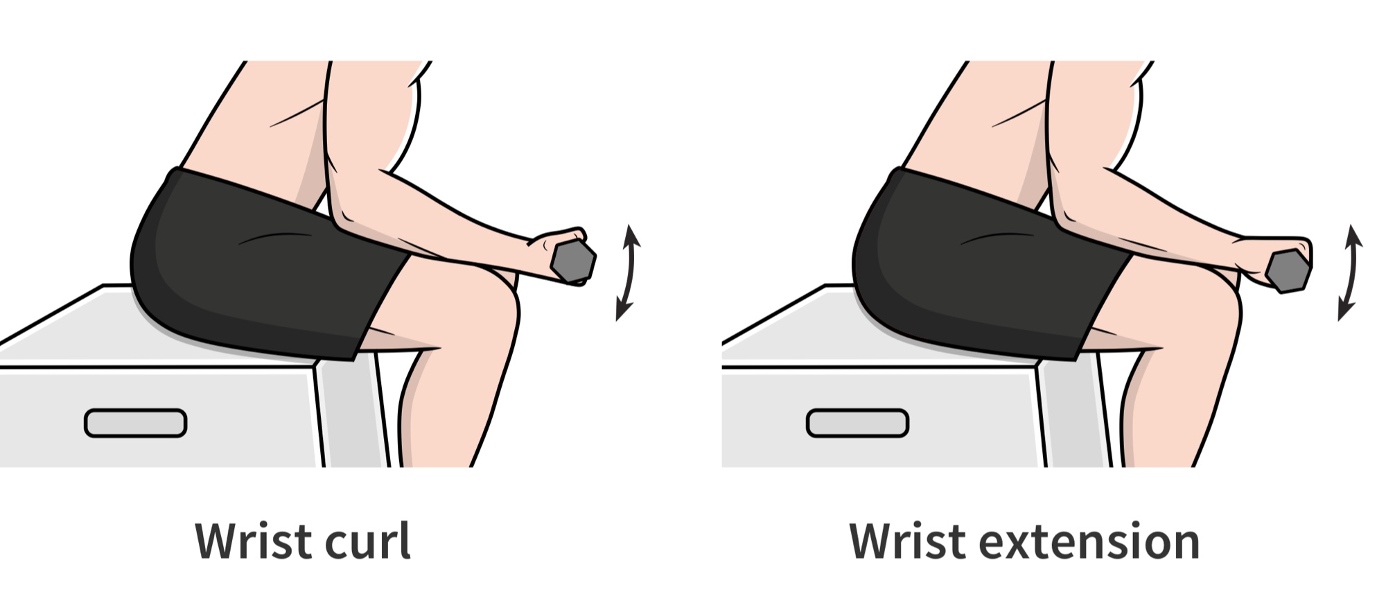 Wrist curl / extension