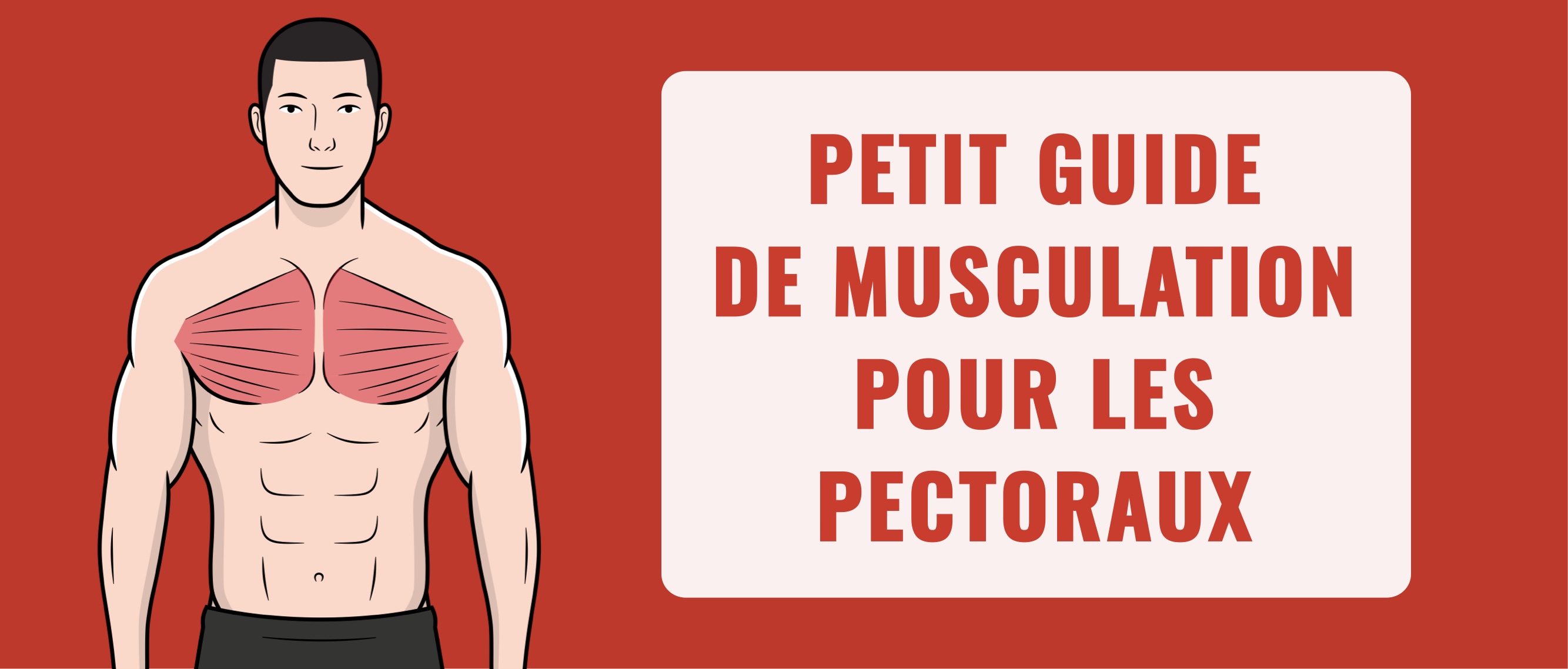 Petit guide de musculation des pectoraux